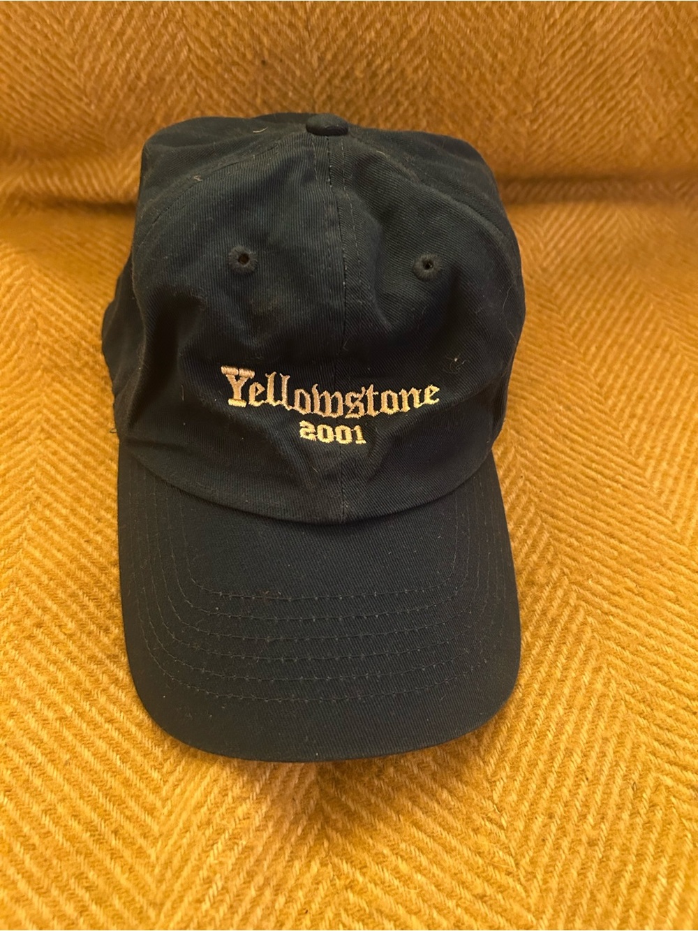Yellowstone 2001 Embroidered Navy Dad Cap